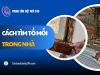Cách tìm tổ mối trong nhà hiệu quả & xử lý TRIỆT ĐỂ