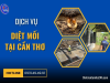DỊCH VỤ DIỆT MỐI TẠI CẦN THƠ HIỆU QUẢ UY TÍN