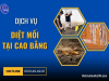 Dịch Vụ Diệt Mối Tại Cao Bằng Hiệu Quả, Giá Rẻ