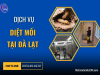 Dịch vụ diệt mối tại Đà Lạt