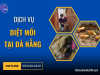 Dịch vụ diệt mối tại Đà Nẵng