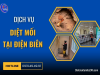 Dịch vụ diệt mối tại Điện Biên