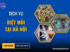 DỊCH VỤ DIỆT MỐI TẠI HÀ NỘI HIỆU QUẢ UY TÍN