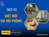 DỊCH VỤ DIỆT MỐI TẠI TP HẢI PHÒNG HIỆU QUẢ UY TÍN