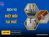 Dịch vụ diệt mối tại Huế