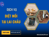 Dịch vụ diệt mối tại Lai Châu