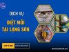 Dịch Vụ Diệt Mối Tại Lạng Sơn Hiệu Quả, Giá Rẻ