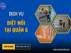 Dịch vụ diệt mối tại Quận 6