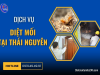 Dịch Vụ Diệt Mối Tại Thái Nguyên Hiệu Quả, Giá Rẻ