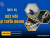 Dịch Vụ Diệt Mối Tại Tuyên Quang Hiệu Quả, Giá Rẻ
