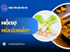 Mối sợ mùi gì nhất? 9 mùi hương khiến mối BỎ CHẠY