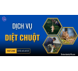 Dịch vụ diệt chuột