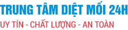 Diệt Mối Tại Nhà 24h