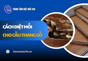 3 cách diệt mối cho cầu thang gỗ hiệu quả TẬN GỐC