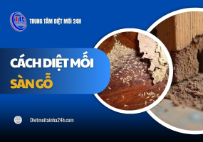Cách diệt mối sàn gỗ hiệu quả chi tiết từ A ĐẾN Z