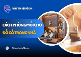 4 cách phòng mối cho đồ gỗ trong nhà hiệu quả