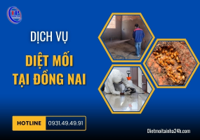 Dịch vụ diệt mối tại Đồng Nai
