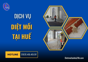 Dịch vụ diệt mối tại Huế