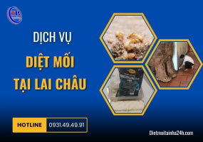 Dịch vụ diệt mối tại Lai Châu