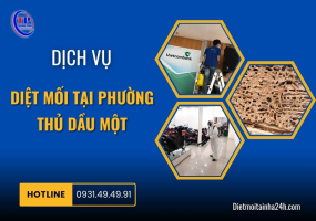 Dịch vụ diệt mối tại Phường Thủ Dầu Một