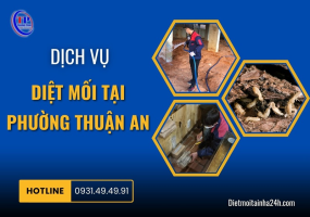 Dịch vụ diệt mối tại Phường Thuận An
