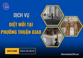 Dịch vụ diệt mối tại Phường Thuận Giao