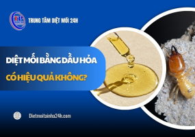 Diệt mối bằng dầu hỏa có hiệu quả không? Giải đáp A-Z