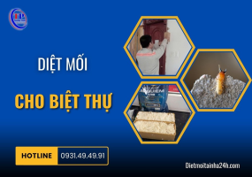 Diệt mối cho biệt thự