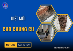 Diệt mối cho chung cư