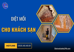 Diệt mối cho khách sạn