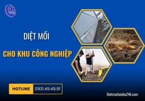 Diệt mối cho khu công nghiệp