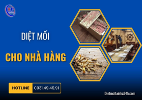 Diệt mối cho nhà hàng