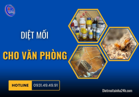 Diệt mối cho văn phòng