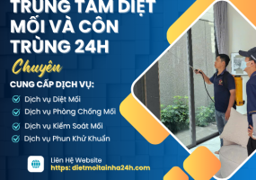 Giới Thiệu Trung Tâm Diệt Mối 24h