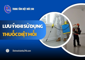 10 lưu ý khi sử dụng thuốc diệt mối đảm bảo AN TOÀN