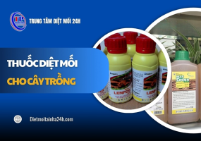 12 loại thuốc diệt mối cho cây trồng HIỆU QUẢ an toàn