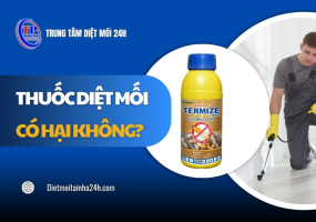 Thuốc diệt mối có hại không? Cách sử dụng AN TOÀN