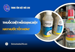 Thuốc diệt mối dạng bột hay nước tốt hơn? GIẢI ĐÁP