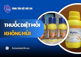 TOP 4 loại thuốc diệt mối không mùi AN TOÀN hiệu quả