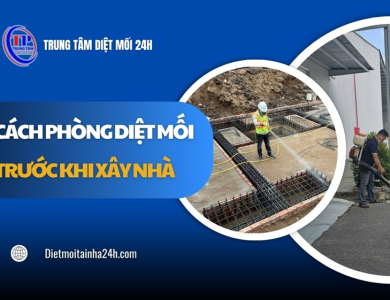 Cách phòng diệt mối trước khi xây nhà hiệu quả AN TOÀN