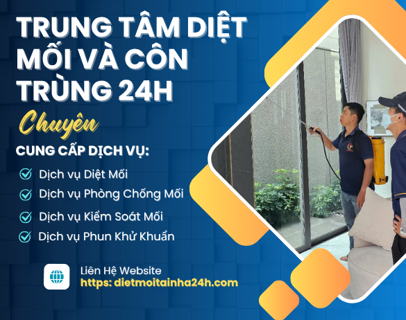 Giới Thiệu Trung Tâm Diệt Mối 24h