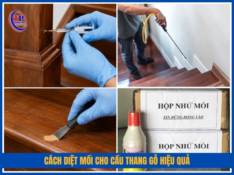 cách diệt mối cho cầu thang gỗ hiệu quả