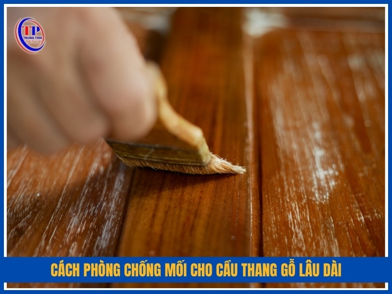 cách phòng chống mối cho cầu thang gỗ lâu dài