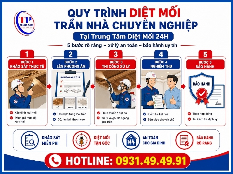 Quy trình diệt mối trần nhà chuyên nghiệp tại Trung Tâm Diệt Mối 24H