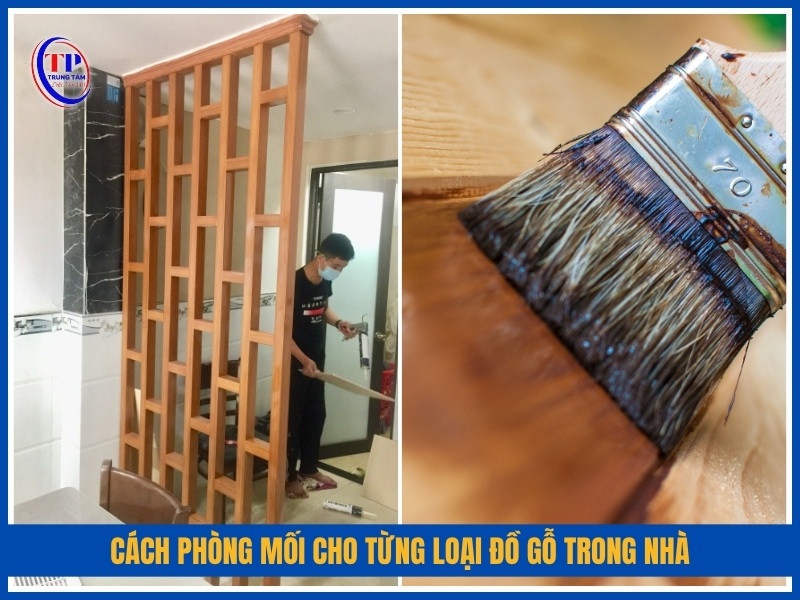 Cách phòng mối cho từng loại đồ gỗ trong nhà