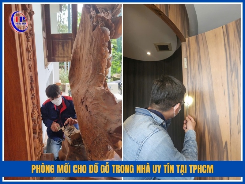 Dịch vụ phòng mối cho đồ gỗ trong nhà uy tín chuyên nghiệp tại TPHCM
