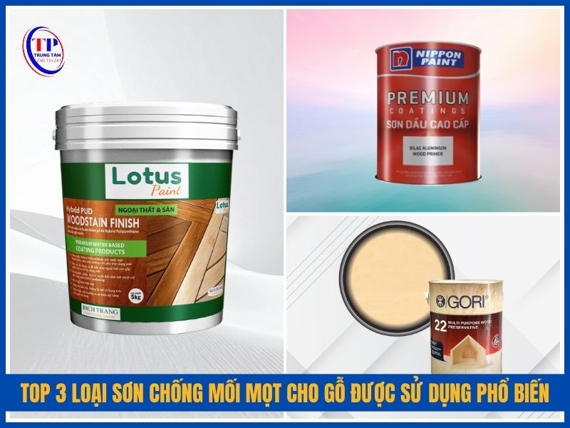 Top 3 loại sơn chống mối mọt cho gỗ được sử dụng phổ biến