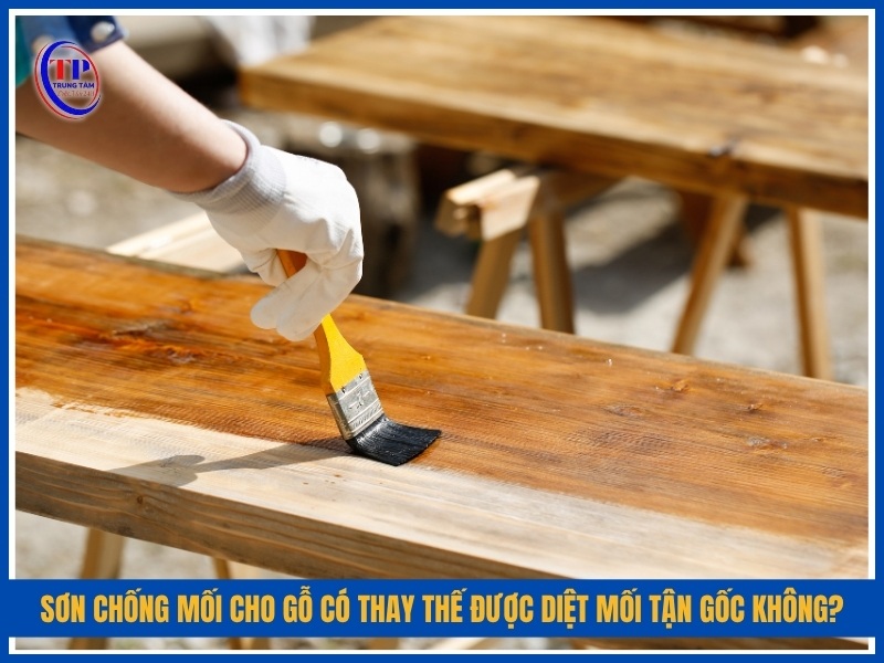 Sơn chống mối cho gỗ có thay thế được diệt mối tận gốc không?