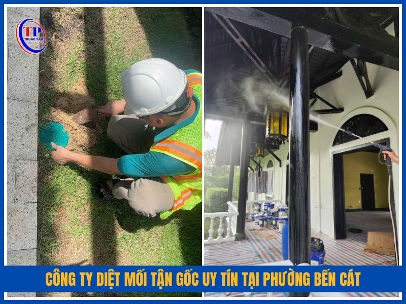 Công ty diệt mối tận gốc uy tín tại Phường Bến Cát