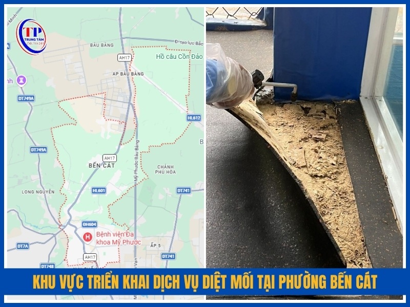 Khu vực triển khai dịch vụ diệt mối tại Phường Bến Cát